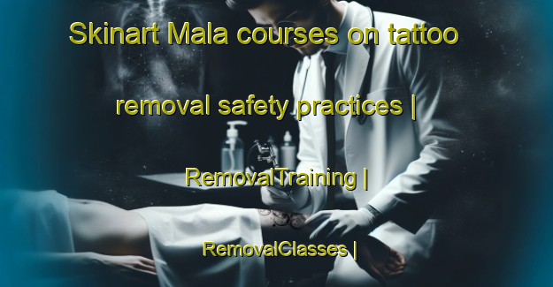 Skinart Mala courses on tattoo removal safety practices | RemovalTraining | RemovalClasses | SkinartTraining-Poland